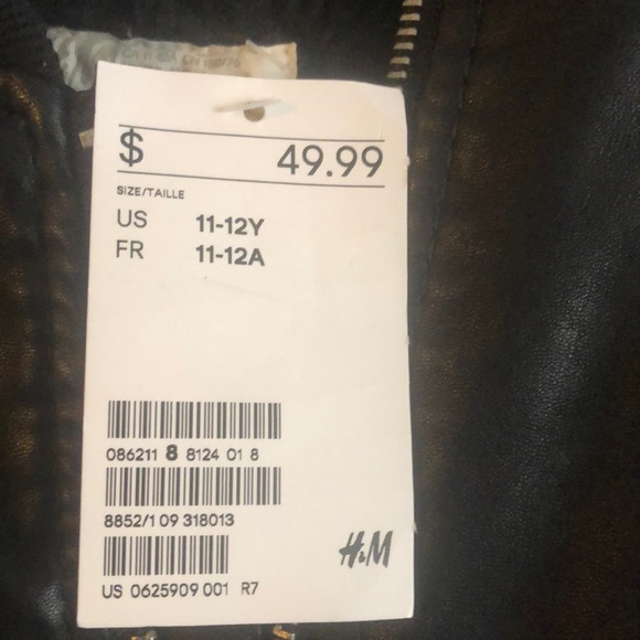 Jacket - Picture 4 of 5